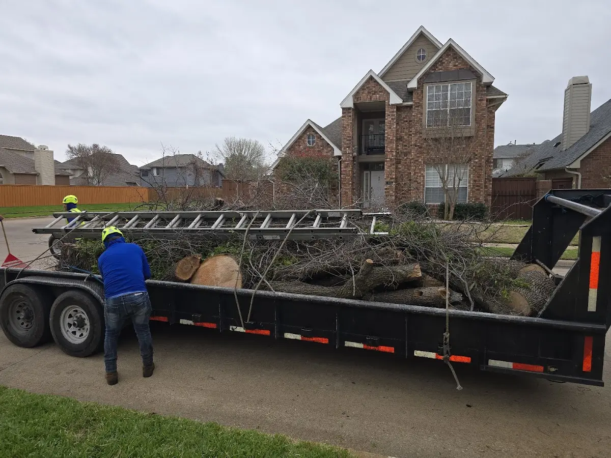 Expert Tree Removal with proper safety equipment in Leisenring